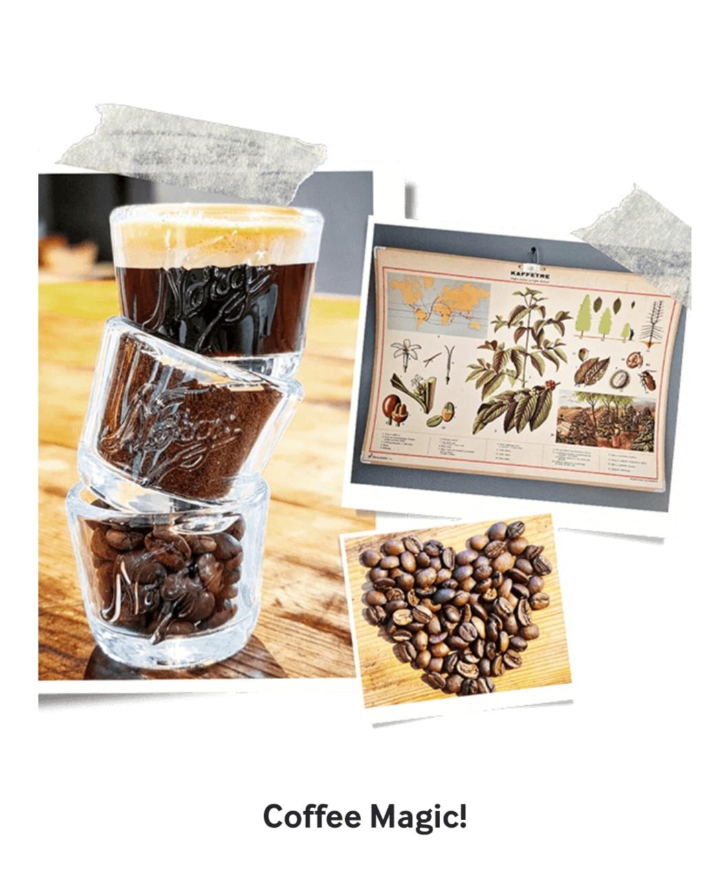 Kaffekopper stablet med kaffebønner, illustrasjon av kaffepflanten og hjerteformede kaffebønner.