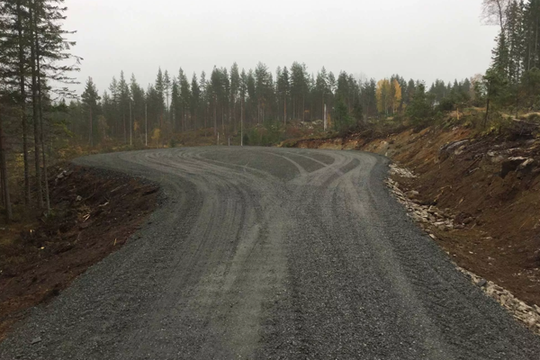 Grusvei som svinger gjennom en skog med trær i bakgrunnen på en grå dag.
