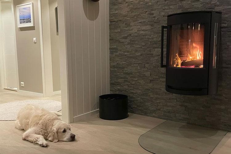 En hund ligger på gulvet foran en peis med flammer i et moderne rom.