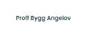 Proff Bygg Angelov