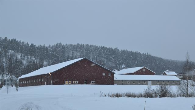 Rødt fjøs dekket av snø med trær i bakgrunnen på en vinterdag.