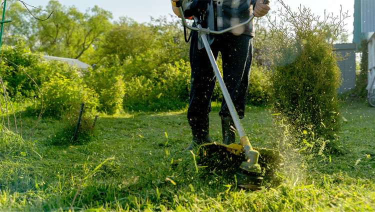 En person bruker en kantklipper for å klippe gresset i hagen, med grønne planter i bakgrunnen.