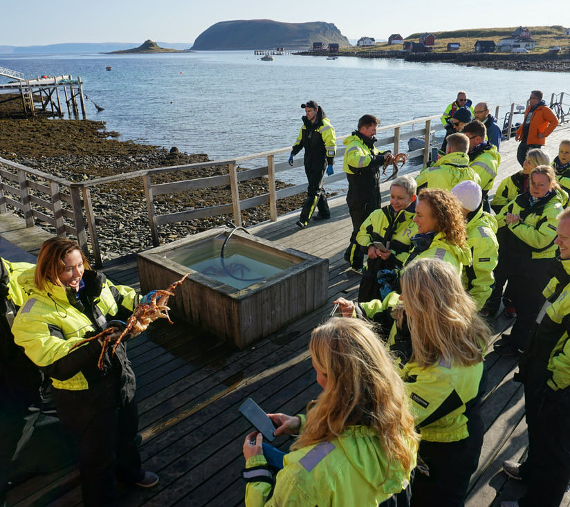 En gruppe mennesker i gule jakker samles ved en brygge, mens en person holder en krabbe. Bakgrunnen viser havet og øyer.
