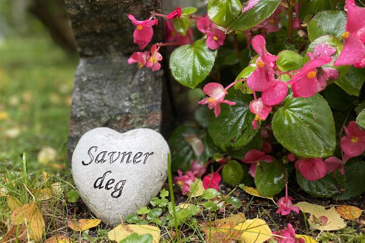 Hjerteformet stein med teksten "Savner deg" ved siden av rosa blomster i hagen.