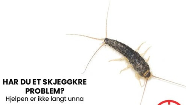 Et nærbilde av en sølvfisk som viser kroppens detaljer og tekst om skjeggkreproblemer.