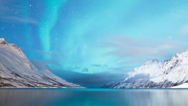 Nordlys over snødekte fjell og en rolig fjord under en stjerneklar himmel.