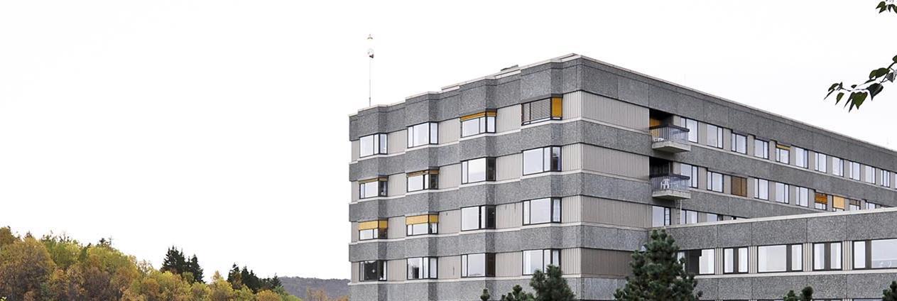 Moderne grå betongbygning med flere vinduer og trær i forgrunnen.