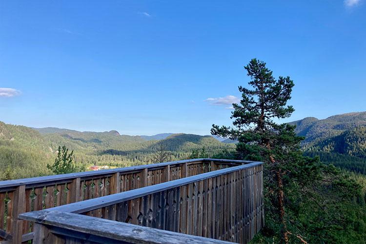 Utsikt fra en utsiktsplattform med tre og fjell i bakgrunnen under en klar blå himmel.