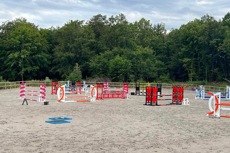 En hestetrenerbane med fargerike hinder i sand, omringet av trær og grønt landskap.