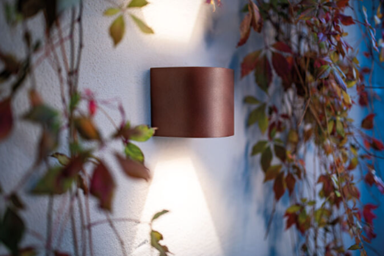 Veggmontert lampe i bronsefarge med lys som skinner på en vegg dekket av planter.