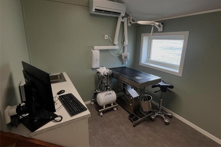 Moderne veterinærkontor med behandlingsbord, datamaskin og medisinsk utstyr.