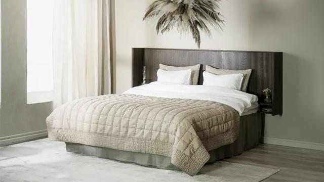 Et moderne soverom med en stor dobbeltseng, beige sengeteppe og stilige puter, samt en dekorativ plante over sengen.