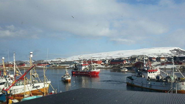 Fiskebåter i havnen med snødekte fjell i bakgrunnen og blå himmel.