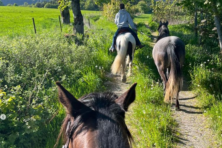 Rytter på hest som følger to hester langs en grønn sti i naturen. Solfylt dag med frodig vegetasjon.
