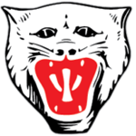Vikersund Idrettsforening