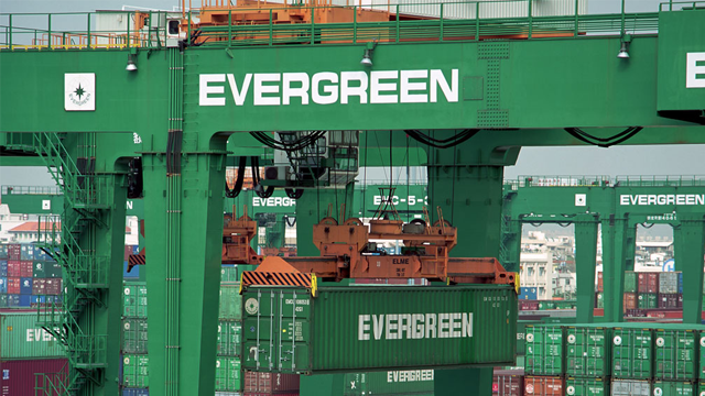 Grønn containerkran fra Evergreen løfter en container på en havn med mange containere i bakgrunnen.