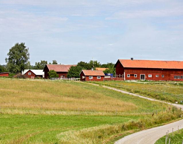 En vakker gård med røde bygninger og grønne marker under en blå himmel. Veien snirkler seg gjennom landskapet.