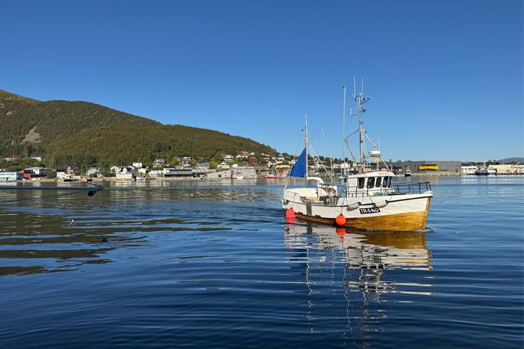 En fiskebåt med blå seil ligger til kai i en rolig havn med fjell i bakgrunnen. Klart blå himmel og speilvann.