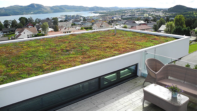 Grønt tak på moderne hus med utsikt over landskapet og fjorden i bakgrunnen.