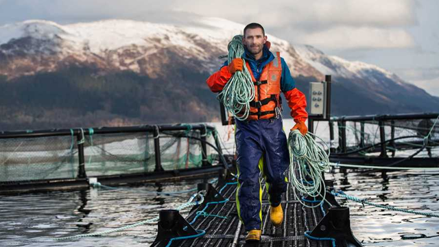 Mann i fiskeutstyr som bærer tau på en flytebrygge ved en fiskeoppdrettsanlegg med fjell i bakgrunnen.