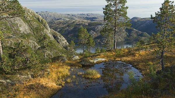 En vakker fjellandskap med grønne trær, en speilende innsjø og fjell i bakgrunnen under en klar himmel.