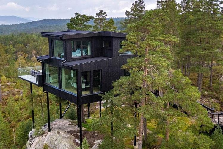 Moderne svart hytte med store vinduer, hevet over bakken, omringet av trær og natur.