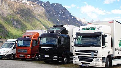 Flere lastebiler parkert foran fjell, inkludert en DAF og en MAN, med ulike farger og logoer.