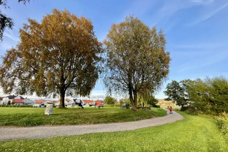 To trær med høstfarger ved en sti i en park, med hus og blå himmel i bakgrunnen.
