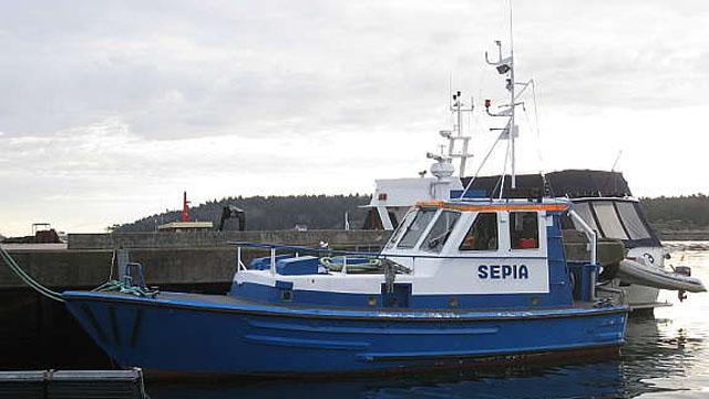 En blå fiskebåt med navnet "SEPIA" ligger ved kaien, omringet av andre båter og en grå himmel.