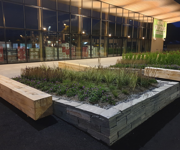 Grøntområde med planter og blomster foran en moderne bygning med store vinduer.