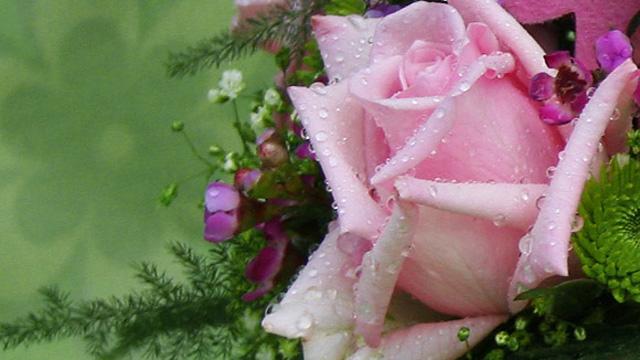 En rosa rose dekket av dråper, omgitt av grønne blader og små blomster i en vakker bukett.