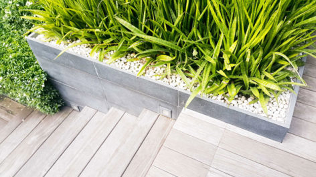 Grønn plantekasse med høye planter og hvite steiner, plassert ved siden av tretrappen.