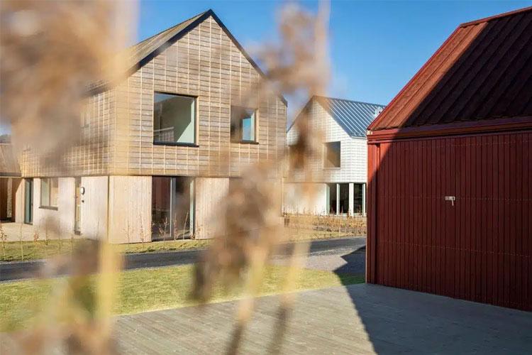 Moderne hus med trepanel og tak i forskjellige farger, sett gjennom strå i forgrunnen.