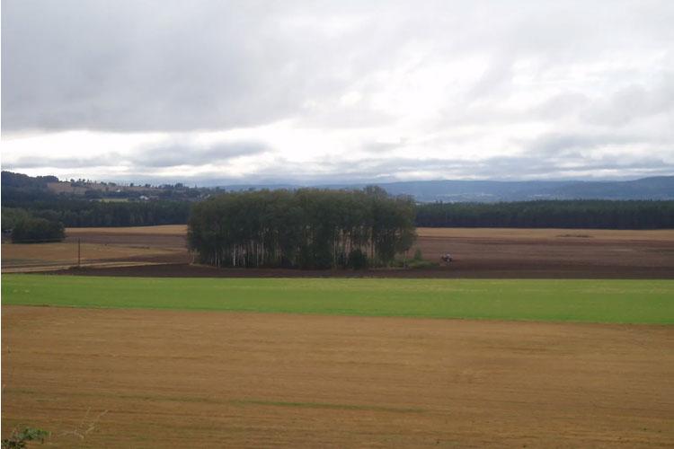 Landskap med grønne og brune åkrer, trær i bakgrunnen og en overskyet himmel.