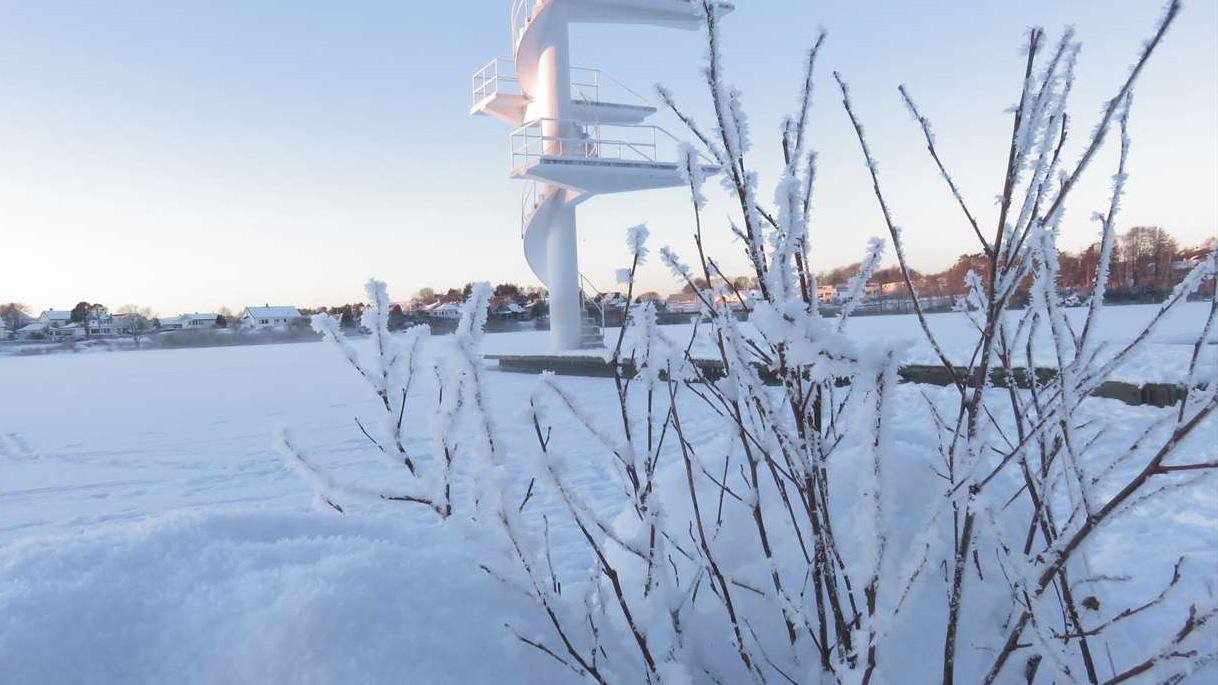 Vinterlandskap med snødekte busker og en svømmebrygge i bakgrunnen under klar himmel.