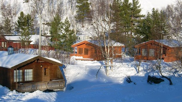 Flotte hytter i snødekt landskap med trær i bakgrunnen, perfekt for vinterferie i Norge.