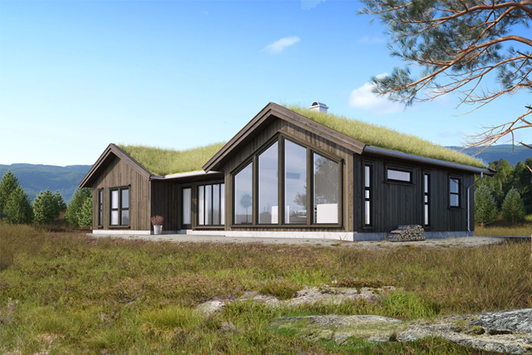 Moderne hytte med gressdekt tak, store vinduer og omgivende natur i bakgrunnen.