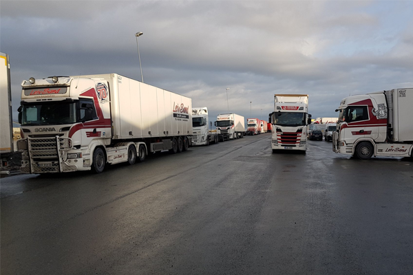 Lastebiler parkert på en lasteplass med grå himmel i bakgrunnen. Flere lastebiler i rekke.