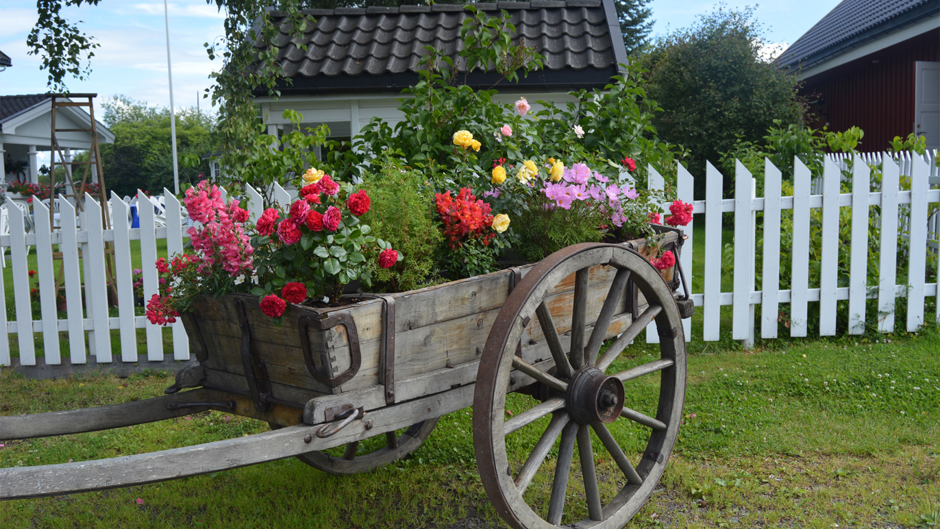 En gammel hestevogn med blomster i ulike farger, plassert foran et hvitt stakittgjerde.