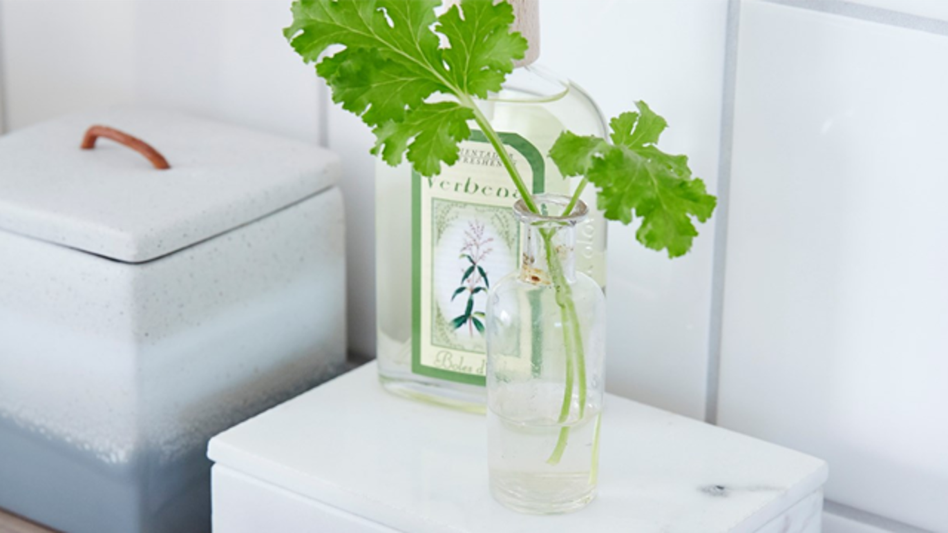 En glassvase med en grønn plante, plassert på et hvitt bord ved siden av en flaske med urtelotion.