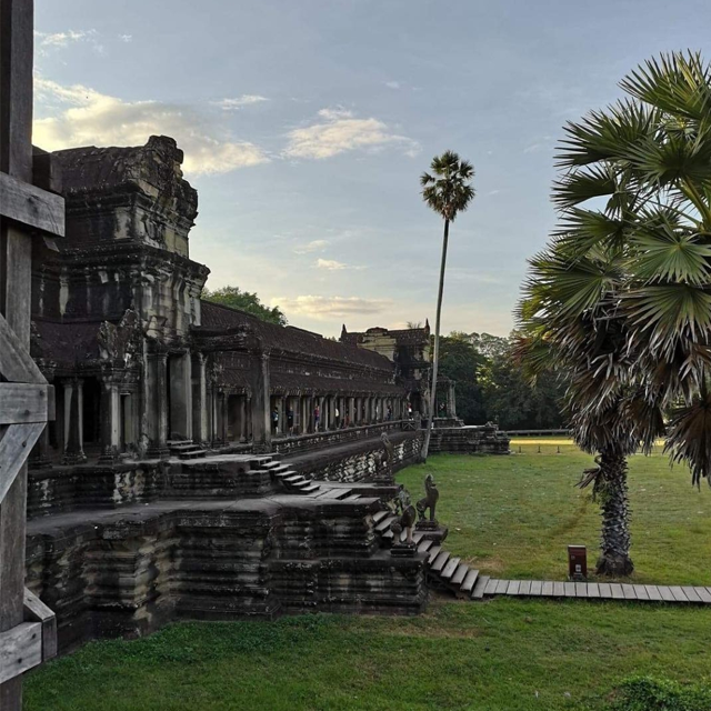 Angkor Wat-tempelet med palmer og grønt gress i solnedgang. Historisk arkitektur og natur i harmoni.