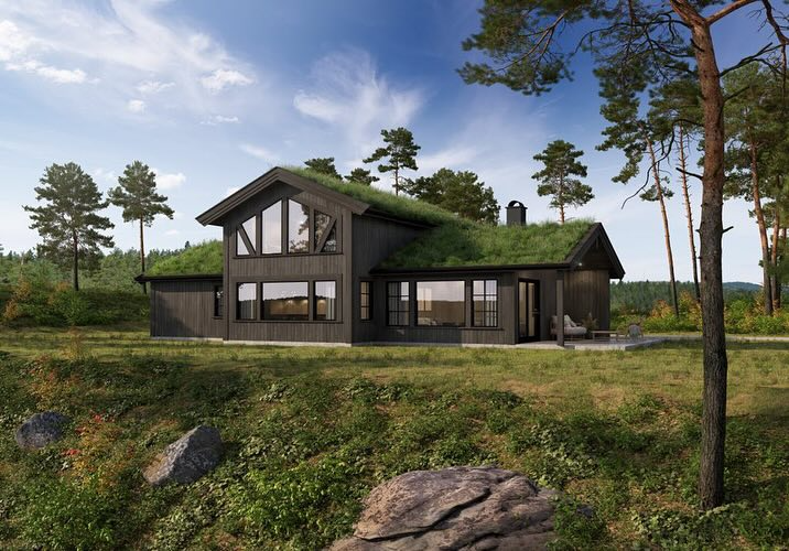 Moderne hytte med grønt tak, store vinduer og omgivende skog i solfylt landskap.