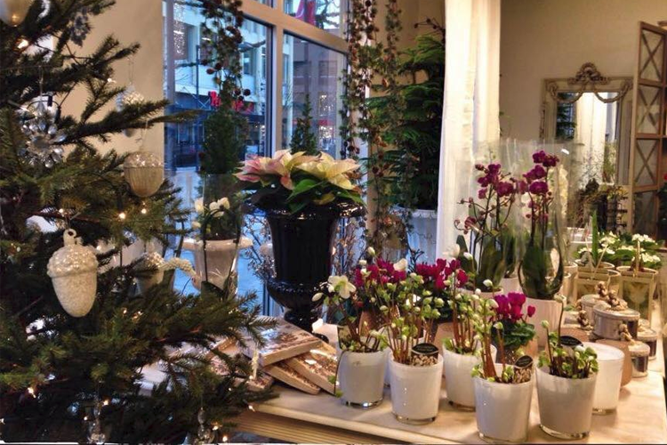 En koselig interiørbutikk med juledekorasjoner, blomster og potteplanter på et bord.
