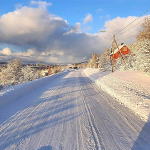 Årstider image
