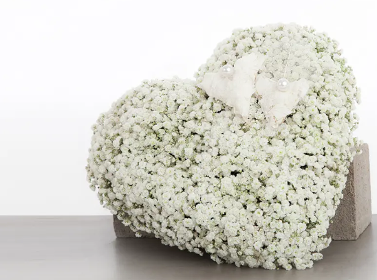 Hjerteformet blomsterdekorasjon laget av små hvite blomster, plassert på en grå overflate.
