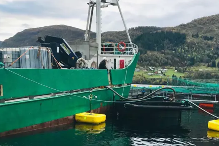 Fiskebåt ved kai med oppdrettsanlegg og fjell i bakgrunnen, med flytende plattformer i vannet.