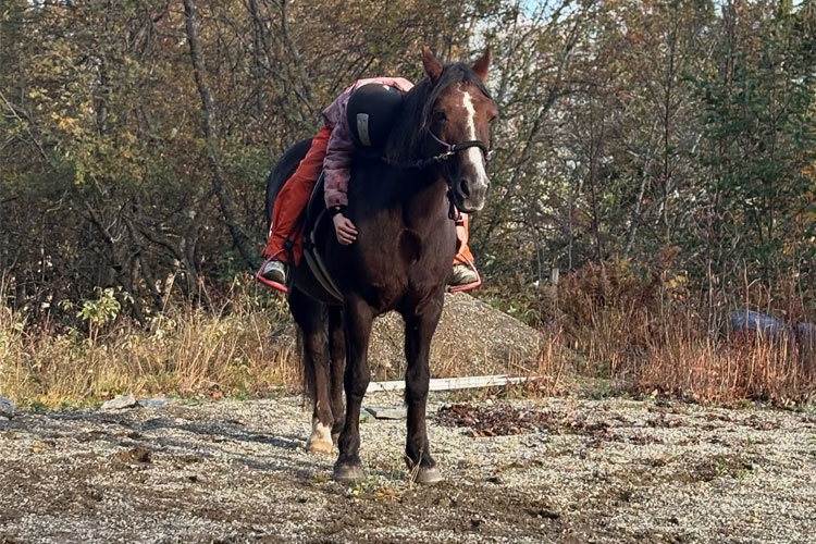 En rytter i oransje klær sitter på en brun hest i et naturskjønt område med trær i bakgrunnen.