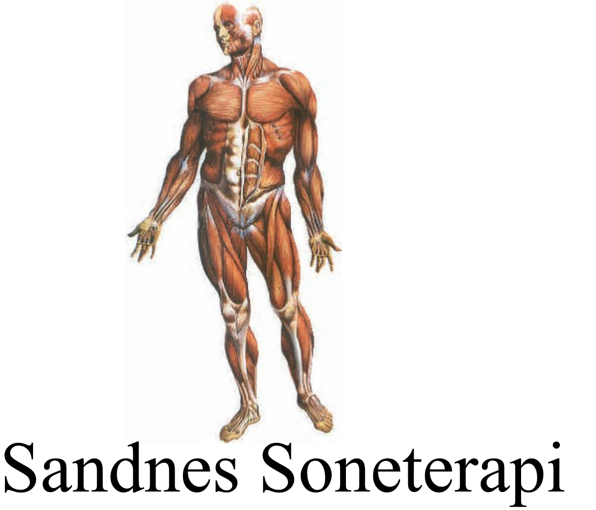 Sandnes Soneterapi Terje Horpestad