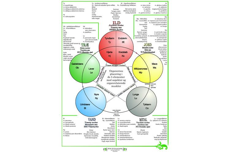 Diagram som viser sammenhenger mellom ulike læringsstiler og metoder i utdanning. Fargerike sirkler med tekst.