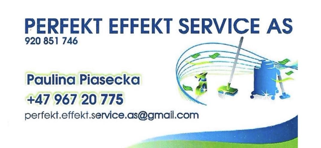 PERFEKT EFFEKT SERVICE AS